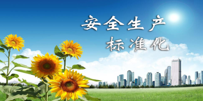 什么是安全生產標準化?